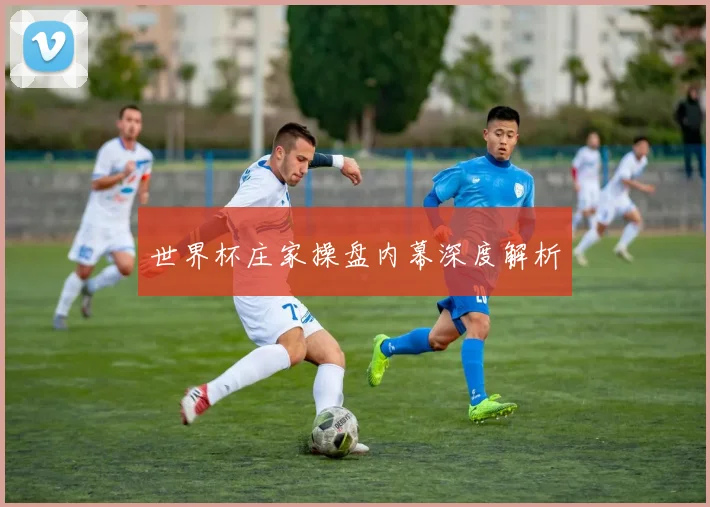世界杯庄家操盘内幕深度解析
