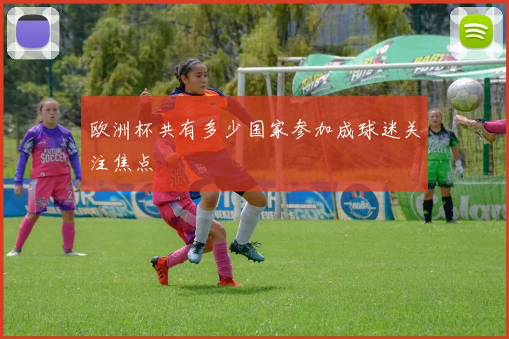 欧洲杯共有多少国家参加成球迷关注焦点
