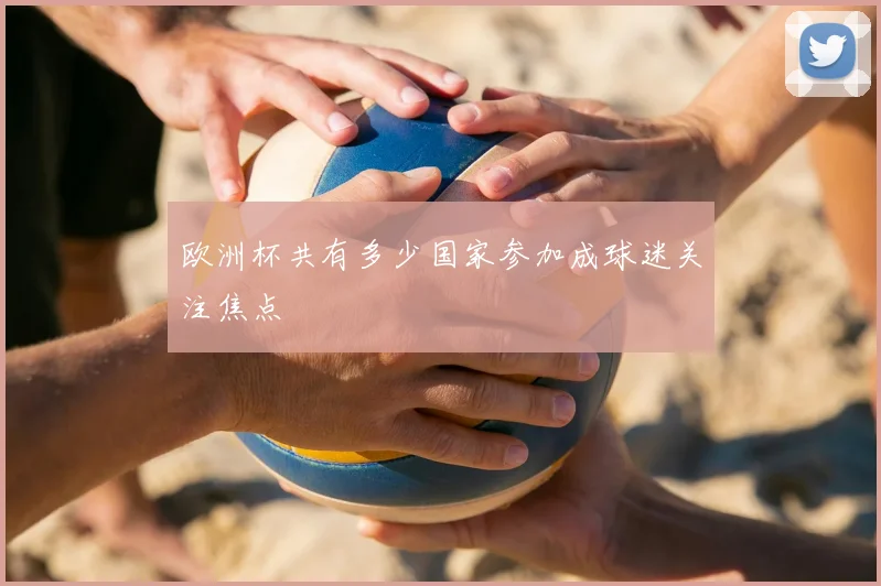 欧洲杯共有多少国家参加成球迷关注焦点