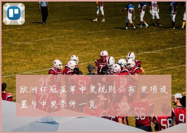 欧洲杯冠亚军中奖规则公布 奖项设置与中奖条件一览