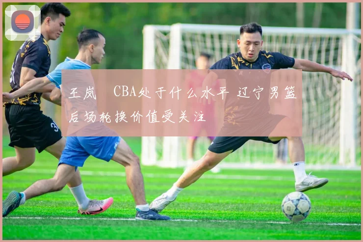 王岚嵚CBA处于什么水平 辽宁男篮后场轮换价值受关注