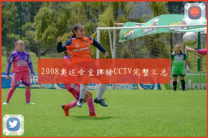 2008奥运会金牌榜CCTV完整汇总
