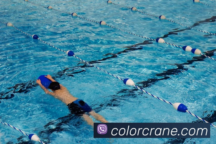 买球官方品牌故事