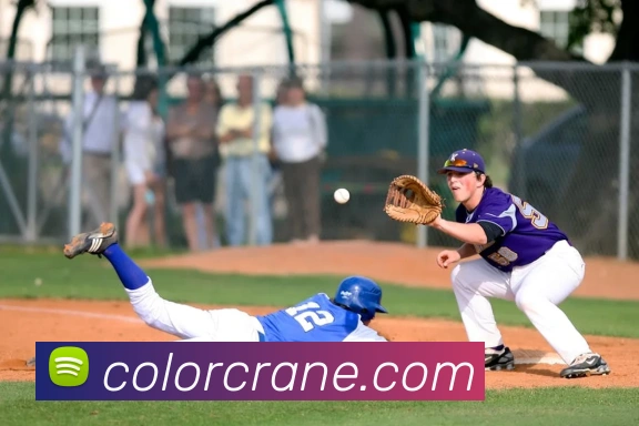 买球官方服务体系